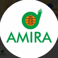 ANFI_logo