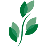 BKD_logo