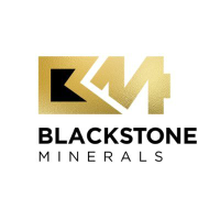 BLST_logo