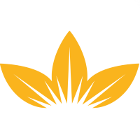 BMT_logo