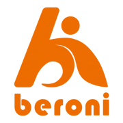 BNIG_logo