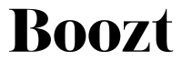 BOOZ_logo