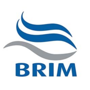 BRIM_logo