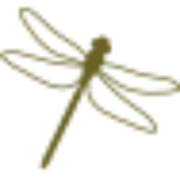 CHRR_logo