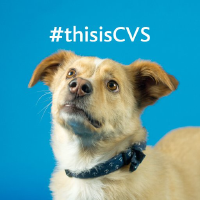 CVSG_logo
