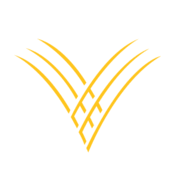 GVYB_logo