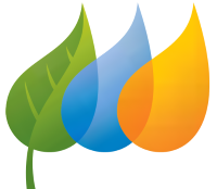 IBDS_logo