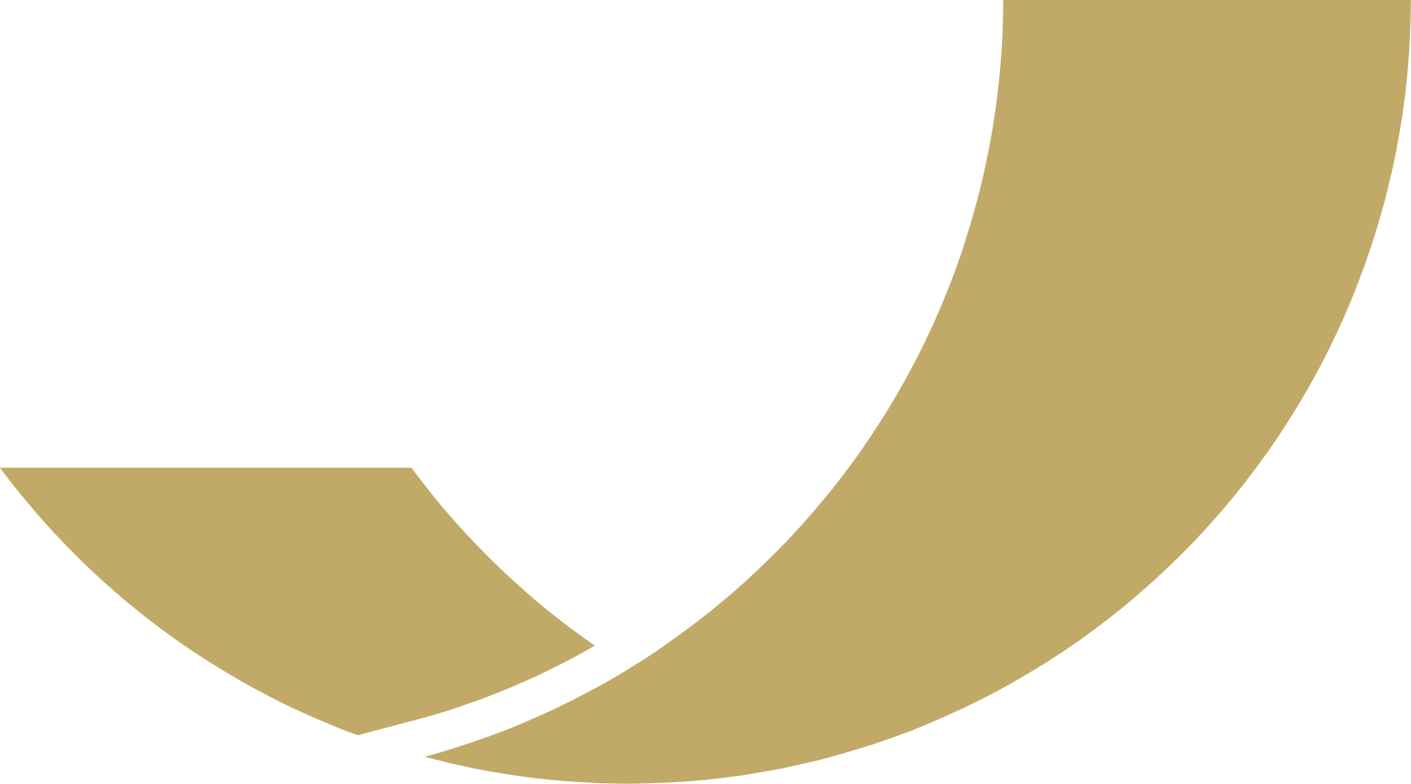 MAXI_logo