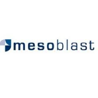MESO_logo