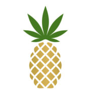 PNPL_logo