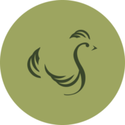 SCST_logo