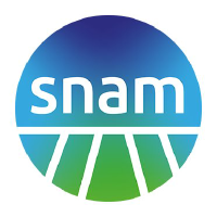 SNM_logo