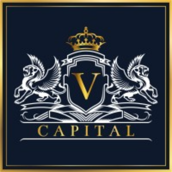VCIG_logo