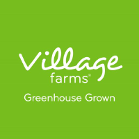 VFF_logo