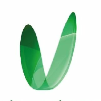VID_logo