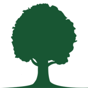 WDFN_logo
